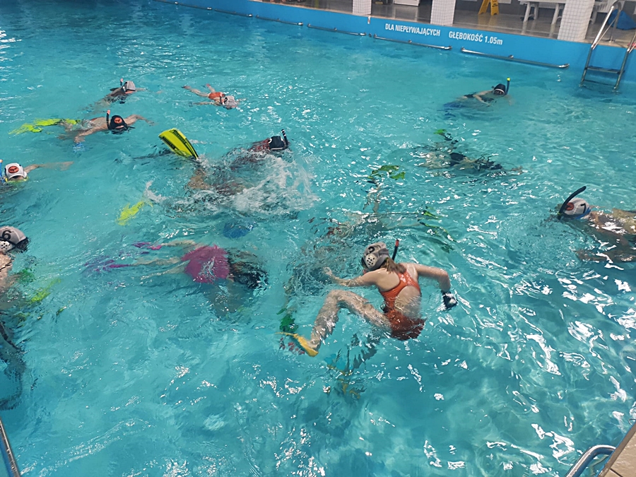 Hokej pod wodą Walenie Siemianowice Śląskie 20 V 2023. Koniec Walenia czyli Amatorska Liga Hokeja Pod Wodą